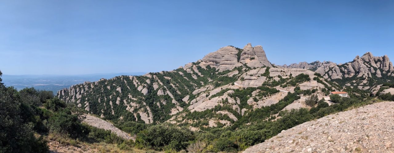 A panoramic view of a mountain with a rocky peak and trees growing below.